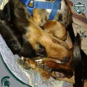 Meet your Posher, Sally